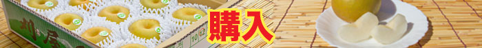 購入