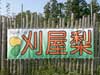 看板